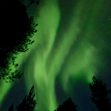 Apartamento Cozy Two-room In The Center Of *